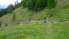 varneralp_15_1_034