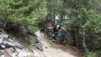varneralp_15_1_039