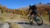 varneralp_15_2_001