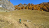 varneralp_15_2_002