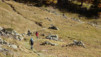 varneralp_15_2_004