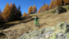 varneralp_15_2_008