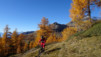 varneralp_15_2_009
