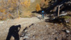 varneralp_15_2_011