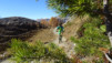 varneralp_15_2_012