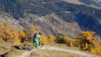 varneralp_15_2_026