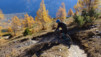varneralp_15_2_029