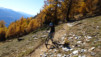 varneralp_15_2_032