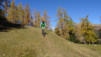 varneralp_15_2_035