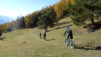 varneralp_15_2_036