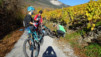 varneralp_15_2_042