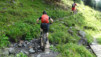varneralp_17_1_003