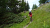 varneralp_17_1_004
