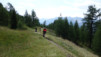 varneralp_17_1_005
