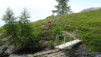 varneralp_17_1_009