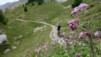 varneralp_17_1_017