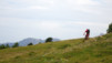 varneralp_17_1_023