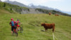 varneralp_17_1_024