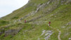 varneralp_17_1_026
