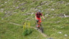 varneralp_17_1_027