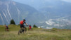 varneralp_17_1_032