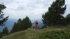 varneralp_17_1_033