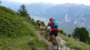 varneralp_17_1_034