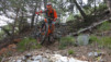 varneralp_17_1_040