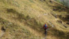 varneralp_17_2_002