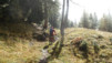 varneralp_17_2_004