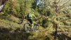 varneralp_17_2_005