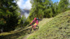 varneralp_17_2_006