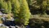 varneralp_17_2_009