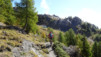 varneralp_17_2_010