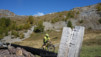 varneralp_17_2_011