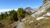 varneralp_17_2_015