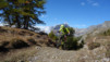 varneralp_17_2_016