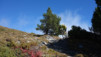 varneralp_17_2_024