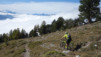 varneralp_17_2_025