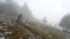 varneralp_17_2_028