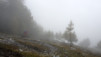 varneralp_17_2_029