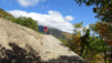 varneralp_17_2_033