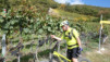 varneralp_17_2_035