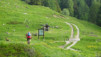 varneralp_18_1_001