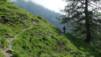 varneralp_18_1_002
