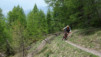 varneralp_18_1_004