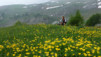 varneralp_18_1_013