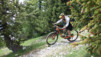varneralp_18_1_019