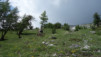 varneralp_18_1_023