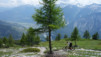 varneralp_18_1_025